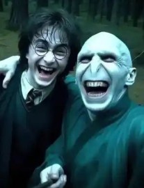 Hogwarts: This Dark Lord is Good?