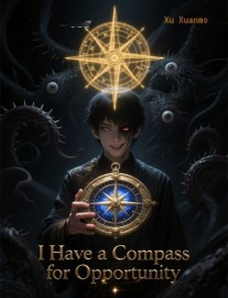 I Have a Compass for Opportunity