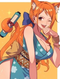 One Piece: From Ninja To Pirates