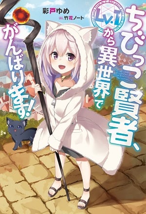 Death March kara Hajimaru Isekai Kyusoukyoku (LN) - Novel Updates