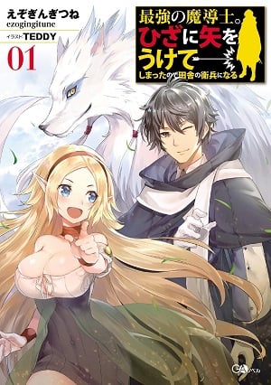 Light Novel Like Koko wa Ore ni Makasete Saki ni Ike to Itte kara